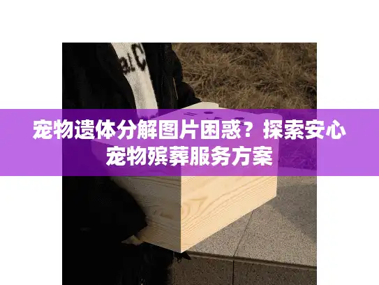 宠物遗体分解图片困惑？探索安心宠物殡葬服务方案