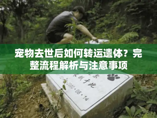 宠物去世后如何转运遗体？完整流程解析与注意事项