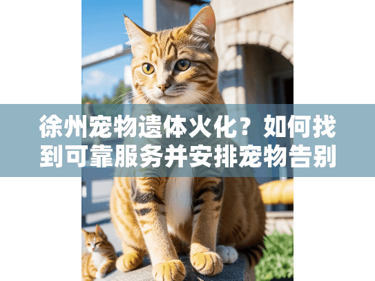 徐州宠物遗体火化？如何找到可靠服务并安排宠物告别仪式