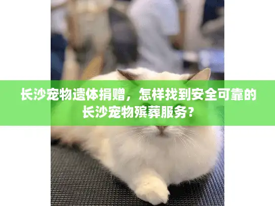 长沙宠物遗体捐赠,怎样找到安全可靠的长沙宠物殡葬服务? 长沙宠物遗体捐赠,怎样找到安全可靠的长沙宠物殡葬服务?