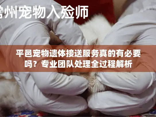 平邑宠物遗体接送服务真的有必要吗？专业团队处理全过程解析