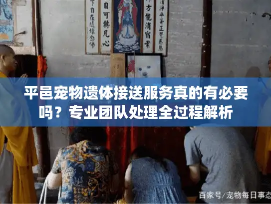 平邑宠物遗体接送服务真的有必要吗？专业团队处理全过程解析