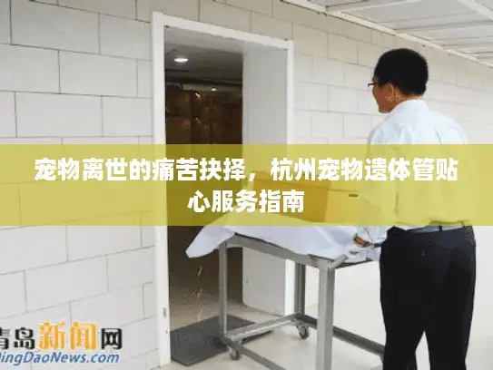 宠物离世的痛苦抉择，杭州宠物遗体管贴心服务指南