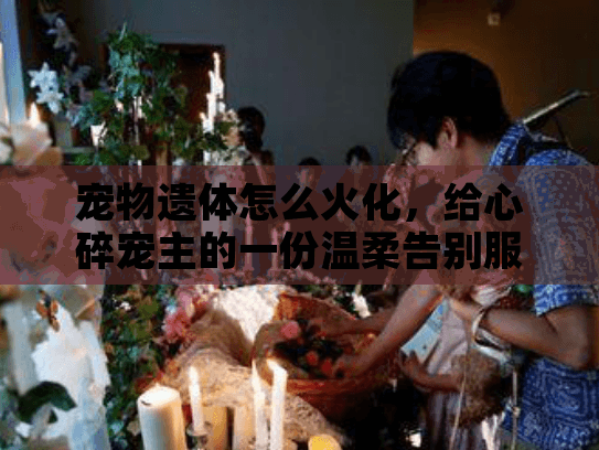 宠物遗体怎么火化，给心碎宠主的一份温柔告别服务指南