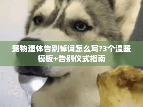 宠物遗体告别悼词怎么写?3个温暖模板+告别仪式指南 宠物遗体告别悼词怎么写?3个温暖模板+告别仪式指南