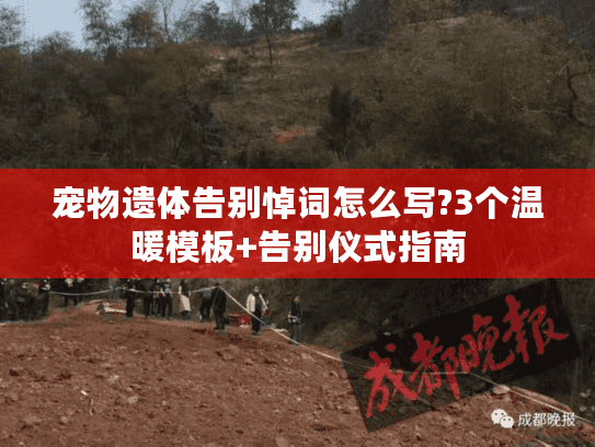 宠物遗体告别悼词怎么写?3个温暖模板+告别仪式指南 宠物遗体告别悼词怎么写?3个温暖模板+告别仪式指南