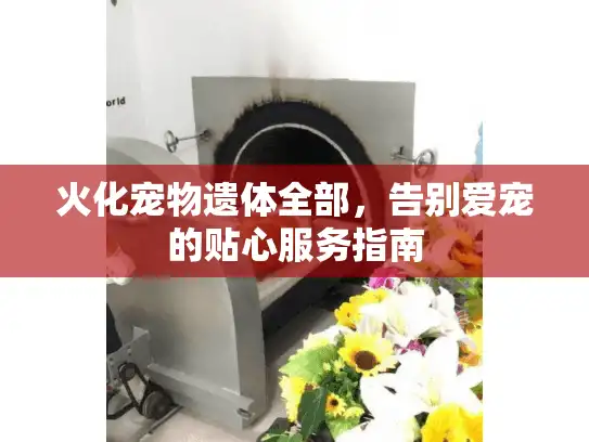 火化宠物遗体全部，告别爱宠的贴心服务指南
