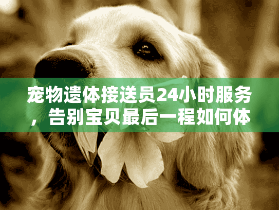 宠物遗体接送员24小时服务,告别宝贝最后一程如何体面完成? 宠物遗体接送员24小时服务,告别宝贝最后一程如何体面完成?