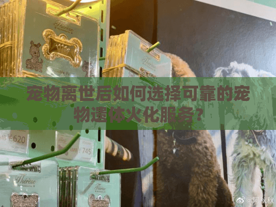 宠物离世后如何选择可靠的宠物遗体火化服务? 宠物离世后如何选择可靠的宠物遗体火化服务?