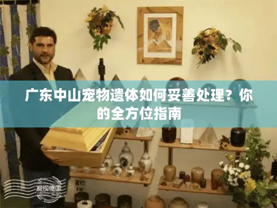 广东中山宠物遗体如何妥善处理？你的全方位指南
