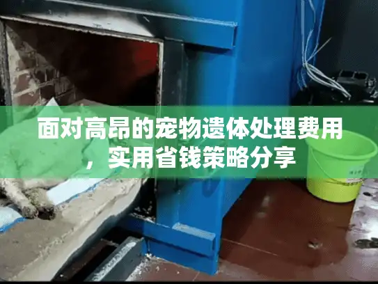 面对高昂的宠物遗体处理费用，实用省钱策略分享
