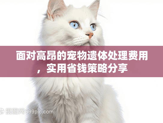 面对高昂的宠物遗体处理费用，实用省钱策略分享