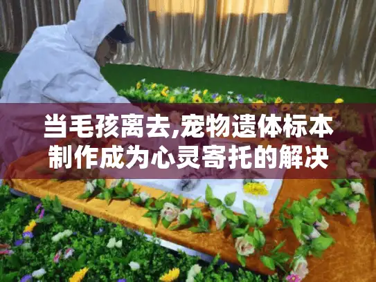 当毛孩离去,宠物遗体标本制作成为心灵寄托的解决方案 当毛孩离去,宠物遗体标本制作成为心灵寄托的解决方案