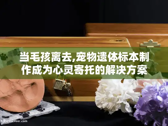 当毛孩离去,宠物遗体标本制作成为心灵寄托的解决方案 当毛孩离去,宠物遗体标本制作成为心灵寄托的解决方案