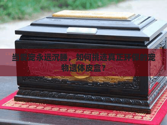 当爱宠永远沉睡，如何挑选真正环保的宠物遗体皮盒？