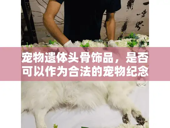 宠物遗体头骨饰品，是否可以作为合法的宠物纪念方式？