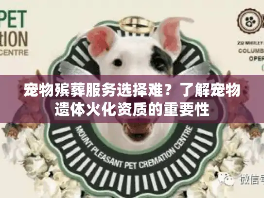 宠物殡葬服务选择难？了解宠物遗体火化资质的重要性