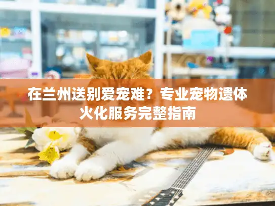 在兰州送别爱宠难?专业宠物遗体火化服务完整指南 在兰州送别爱宠难?专业宠物遗体火化服务完整指南
