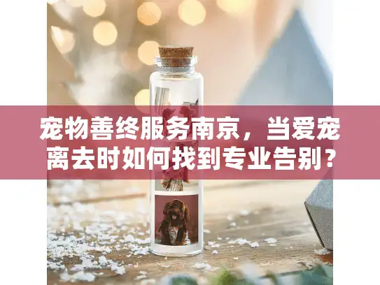 宠物善终服务南京,当爱宠离去时如何找到专业告别? 宠物善终服务南京,当爱宠离去时如何找到专业告别?