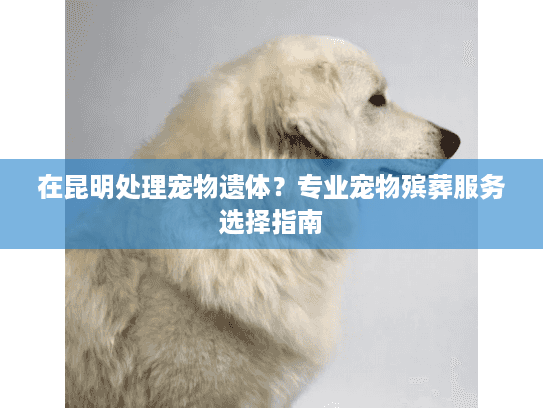 在昆明处理宠物遗体？专业宠物殡葬服务选择指南