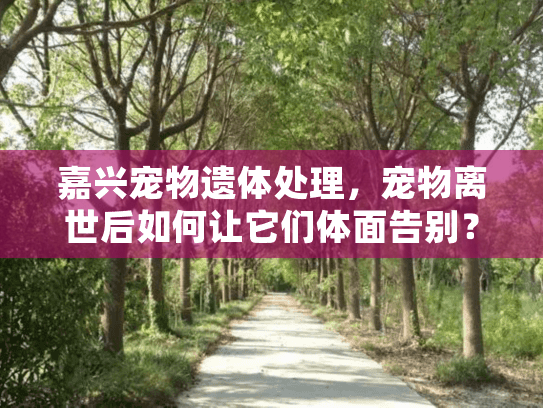嘉兴宠物遗体处理，宠物离世后如何让它们体面告别？