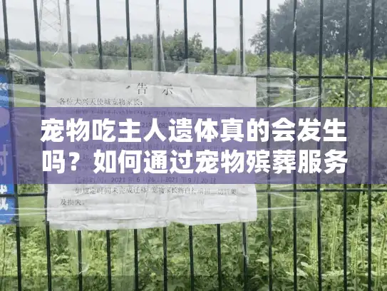 宠物吃主人遗体真的会发生吗？如何通过宠物殡葬服务预防悲剧