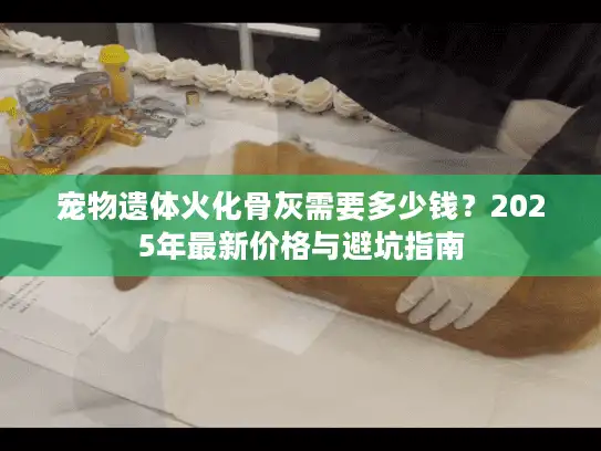 宠物遗体火化骨灰需要多少钱？2025年最新价格与避坑指南