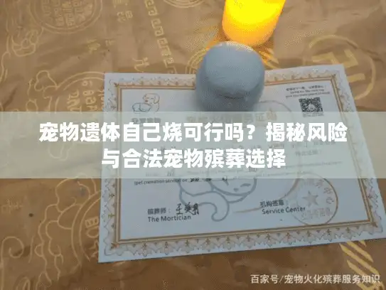 宠物遗体自己烧可行吗？揭秘风险与合法宠物殡葬选择