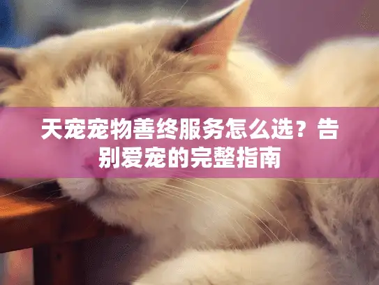 天宠宠物善终服务怎么选?告别爱宠的完整指南 天宠宠物善终服务怎么选?告别爱宠的完整指南