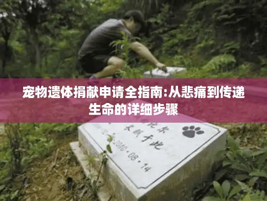 宠物遗体捐献申请全指南:从悲痛到传递生命的详细步骤