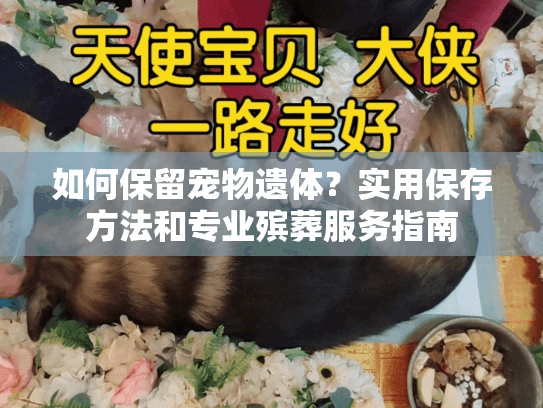 如何保留宠物遗体?实用保存方法和专业殡葬服务指南 如何保留宠物遗体?实用保存方法和专业殡葬服务指南