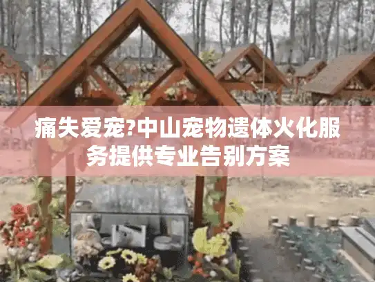痛失爱宠?中山宠物遗体火化服务提供专业告别方案