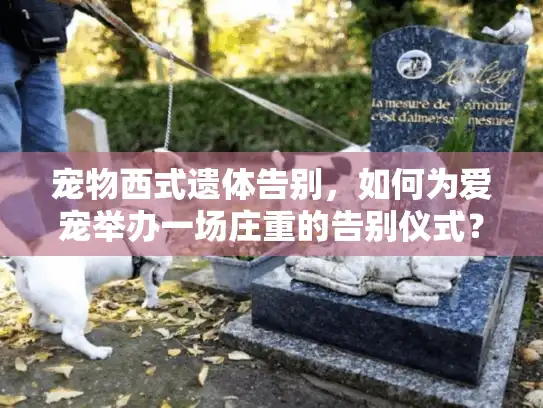 宠物西式遗体告别，如何为爱宠举办一场庄重的告别仪式？