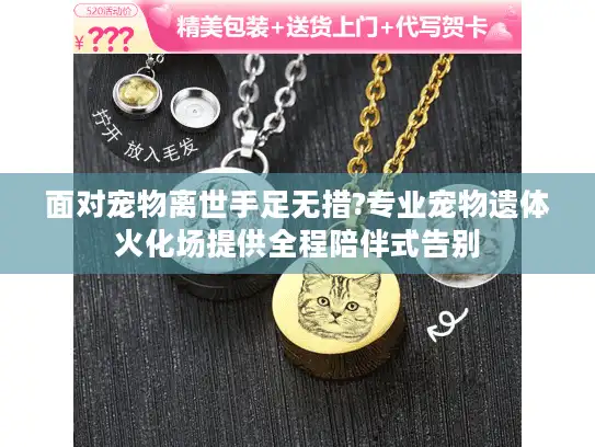 面对宠物离世手足无措?专业宠物遗体火化场提供全程陪伴式告别