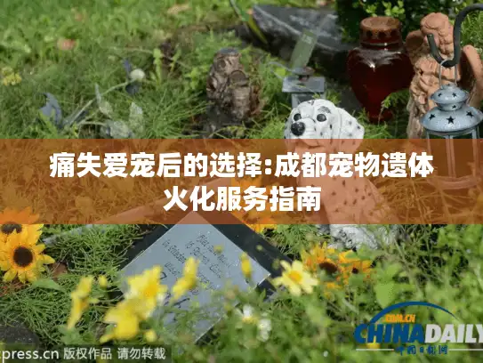 痛失爱宠后的选择:成都宠物遗体火化服务指南 痛失爱宠后的选择:成都宠物遗体火化服务指南
