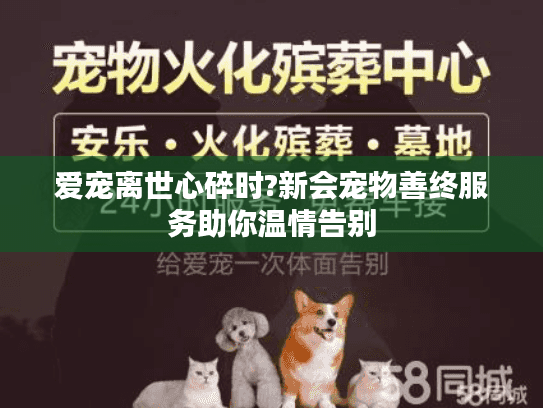 爱宠离世心碎时?新会宠物善终服务助你温情告别