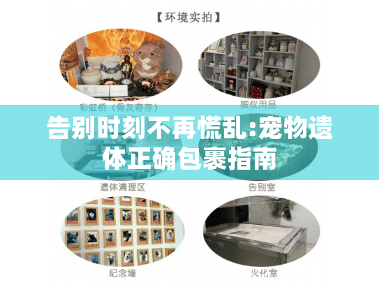 告别时刻不再慌乱:宠物遗体正确包裹指南 告别时刻不再慌乱:宠物遗体正确包裹指南