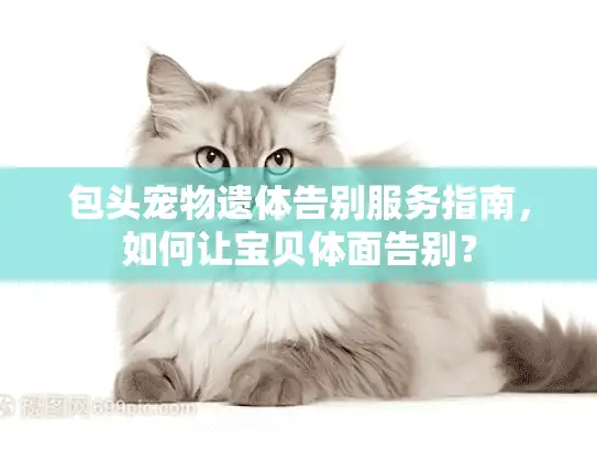 包头宠物遗体告别服务指南,如何让宝贝体面告别? 包头宠物遗体告别服务指南,如何让宝贝体面告别?