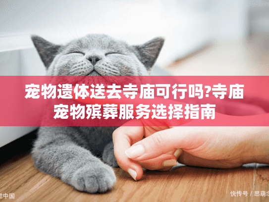 宠物遗体送去寺庙可行吗?寺庙宠物殡葬服务选择指南 宠物遗体送去寺庙可行吗?寺庙宠物殡葬服务选择指南