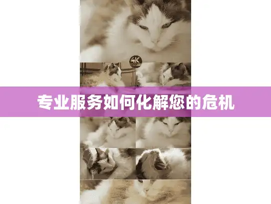 专业服务如何化解您的危机