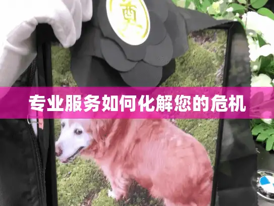 专业服务如何化解您的危机