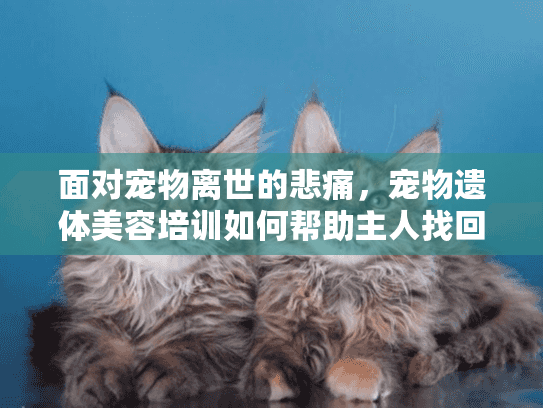面对宠物离世的悲痛，宠物遗体美容培训如何帮助主人找回平静？