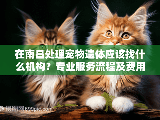 在南昌处理宠物遗体应该找什么机构?专业服务流程及费用指南 在南昌处理宠物遗体应该找什么机构?专业服务流程及费用指南