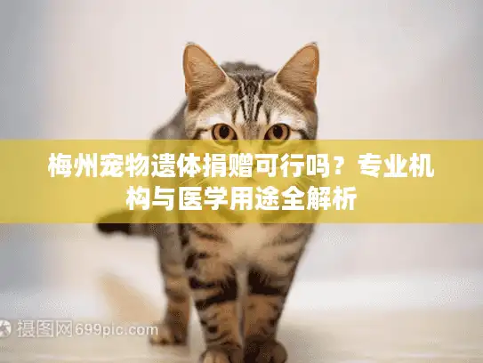 梅州宠物遗体捐赠可行吗？专业机构与医学用途全解析