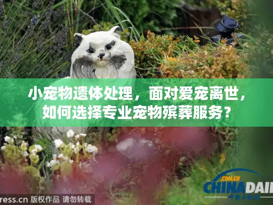 小宠物遗体处理，面对爱宠离世，如何选择专业宠物殡葬服务？
