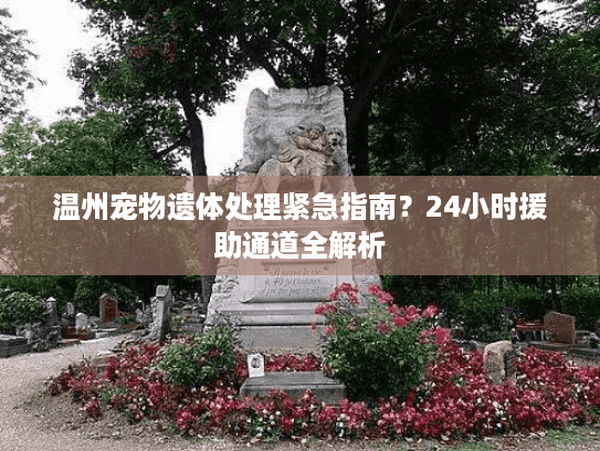 温州宠物遗体处理紧急指南？24小时援助通道全解析