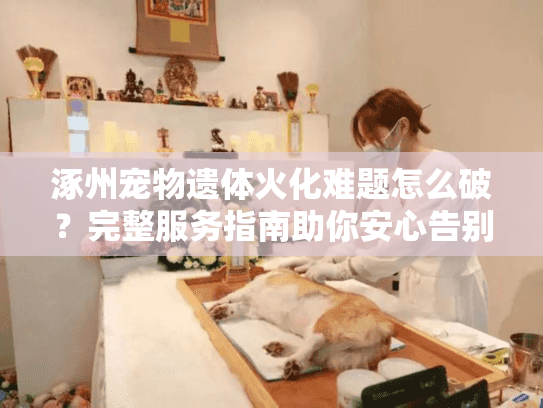 涿州宠物遗体火化难题怎么破？完整服务指南助你安心告别