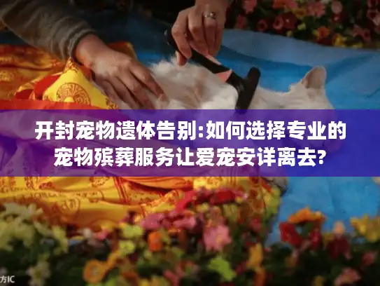 开封宠物遗体告别:如何选择专业的宠物殡葬服务让爱宠安详离去?