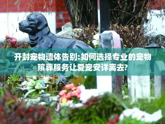 开封宠物遗体告别:如何选择专业的宠物殡葬服务让爱宠安详离去?