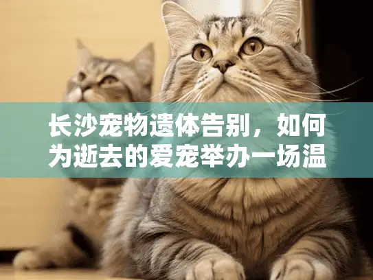 长沙宠物遗体告别，如何为逝去的爱宠举办一场温暖告别服务？